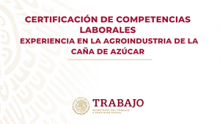 Certificación: Experiencia en la agroindustria de la caña de azúcar. STPS, México Certificación: Experiencia en la agroindustria de la caña de azúcar. STPS, México